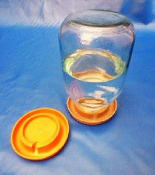 Чем кормить новорожденных перепелов. Чем кормить новорожденных перепелят из инкубатора