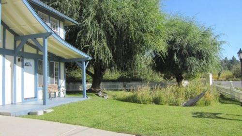 Большие деревья для сада. Непростая роль главы садового царства