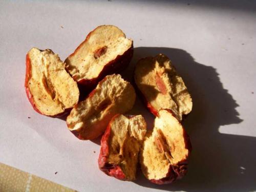 Листья зизифуса применение. Полезные свойства зизифуса и противопоказания к его применению — рецепты и особенности использования в питании (100 фото и видео)