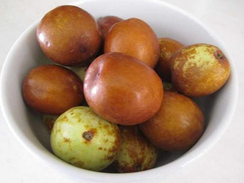 Листья зизифуса применение. Полезные свойства зизифуса и противопоказания к его применению — рецепты и особенности использования в питании (100 фото и видео)