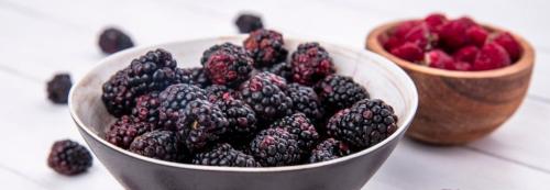 Лучшее время для посадки ежевики: советы по выбору сроков 02