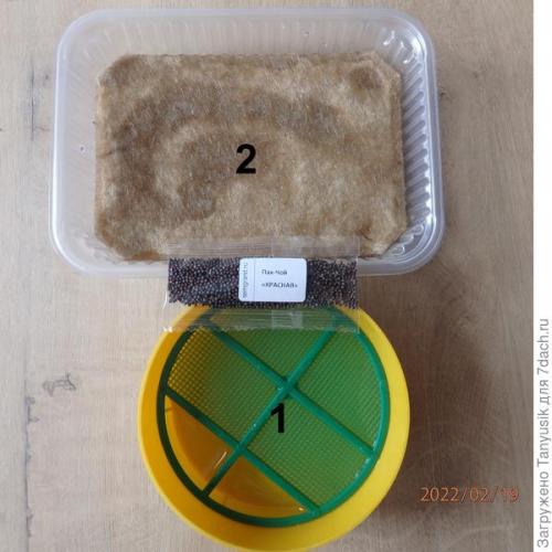 Можно ли выращивать эти семена в контейнерах. Эксперимент №2. Выбираем контейнер для проращивания семян