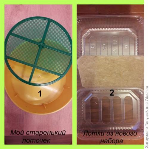 Можно ли выращивать эти семена в контейнерах. Эксперимент №2. Выбираем контейнер для проращивания семян