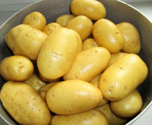Сорт картофеля Адретта. Описание сорта картофеля Адретта – характеристика, достоинства и недостатки, отзывы