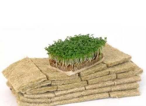 Какие виды летников-крошек лучше всего подходят для создания коврика. Разновидности