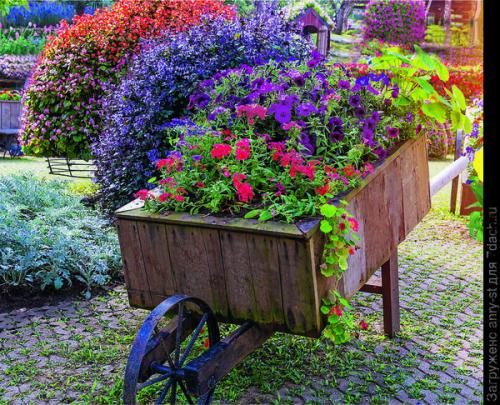 Как выбрать место для посадки летников-крошек в саду. Мимолетные создания: летники в миксбордере