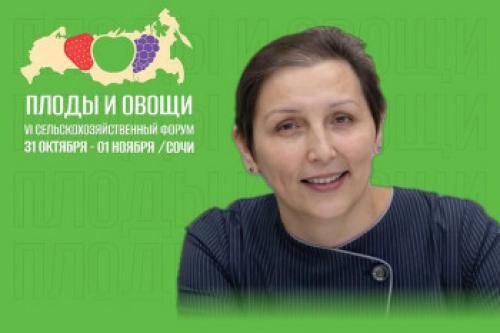 Урожай картофеля в 2025-м: ожидаемые тенденции и факторы 05 Урожай картофеля в 2025-м: ожидаемые тенденции и факторы 05