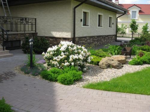 Красивые деревья для двора. Деревья возле дома — виды которые можно и нельзя сажать. 100 фото лучших вариантов для посадки