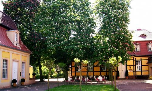 Красивые деревья для двора. Деревья возле дома — виды которые можно и нельзя сажать. 100 фото лучших вариантов для посадки