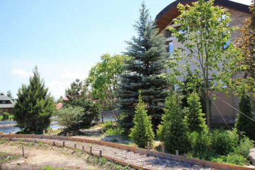 Красивые деревья для двора. Деревья возле дома — виды которые можно и нельзя сажать. 100 фото лучших вариантов для посадки