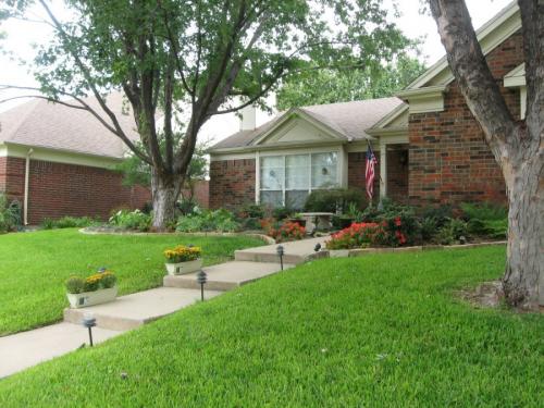 Красивые деревья для двора. Деревья возле дома — виды которые можно и нельзя сажать. 100 фото лучших вариантов для посадки