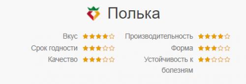 Какое оптимальное время для посадки земляники сорта 'Полка. Клубника сорта Полка: сладкая, стабильная, урожайная