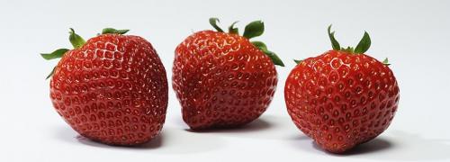 Какое оптимальное время для посадки земляники сорта 'Полка. Клубника сорта Полка: сладкая, стабильная, урожайная