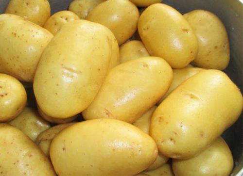 Картофель Адретта википедия. Сорт картофеля Адретта – описание, отзывы огородников, фото