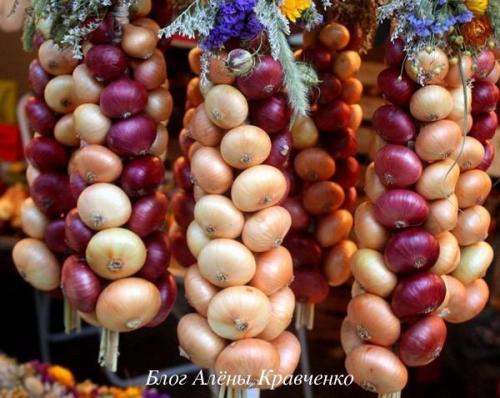 Где и как хранить лук в домашних условиях. Как хранить лук зимой — на балконе или в погребе 03