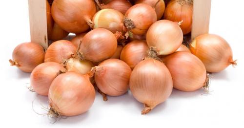 Как хранить лук в частном доме. Как хранить репчатый лук в домашних условиях, в подвале, погребе, холодильнике