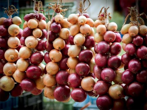 Как хранить лук в частном доме. Как хранить репчатый лук в домашних условиях, в подвале, погребе, холодильнике