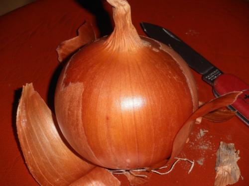 Сорта лука репчатого для длительного хранения. Топ лучших сортов репчатого лука для длительного хранения 02