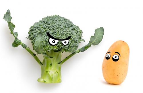 Просто и эффективно: как хранить лук в холодильнике Просто и эффективно: как хранить лук в холодильнике